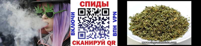 Купить  Магас  БУТИРАТ буратино 