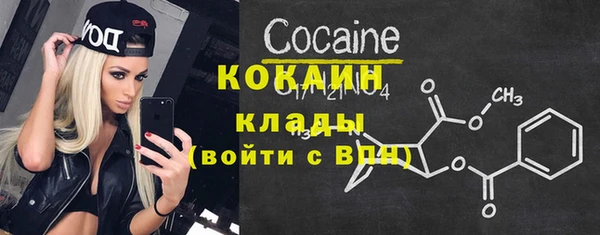мет Ельня