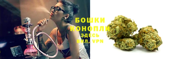 мет Ельня