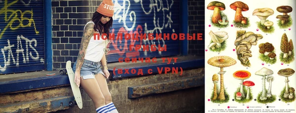 ПСИЛОЦИБИНОВЫЕ ГРИБЫ Елизово