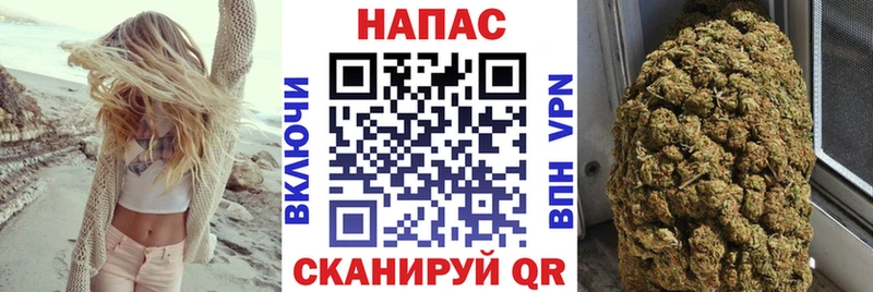Купить закладки  Магас  Канабис тримм 